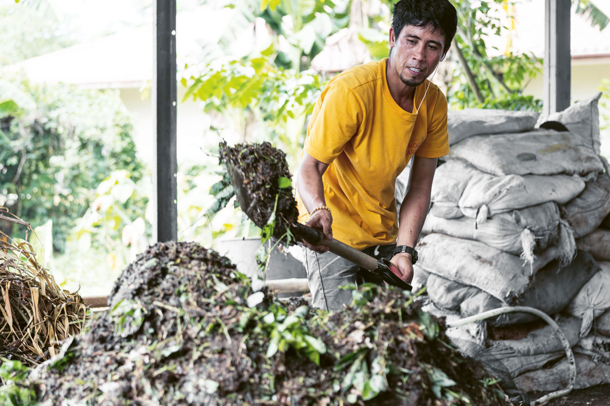 Biodynamic farming also enhances the quality and nutrition of the food grown