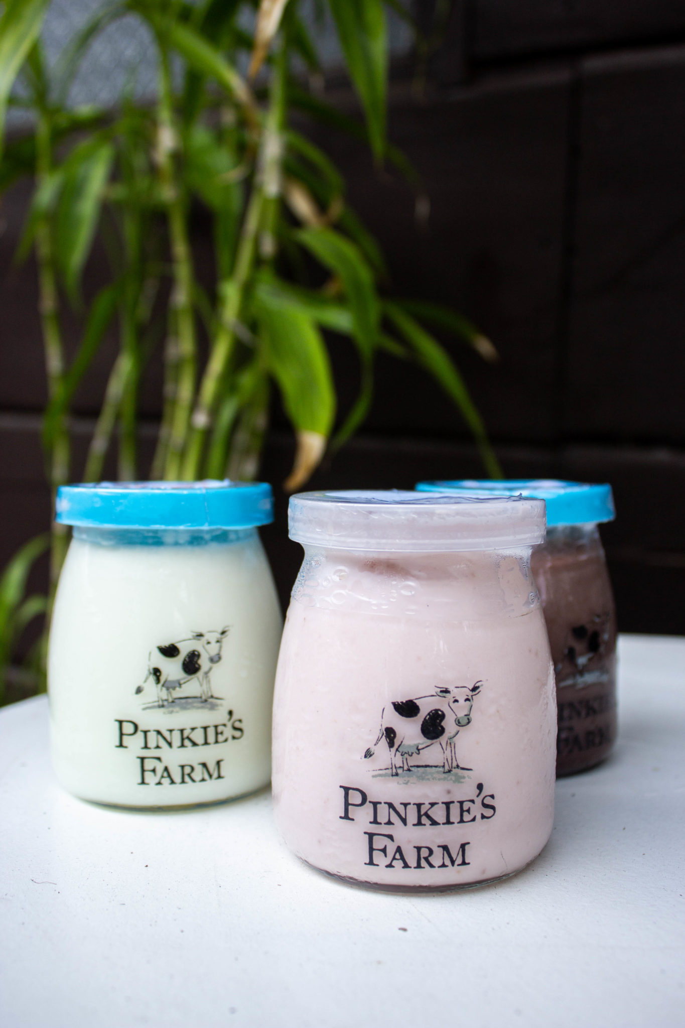 The yogurt line
