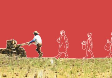 The state of farms during the COVID-19 pandemic